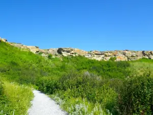 Salto del Bufalo schiantato