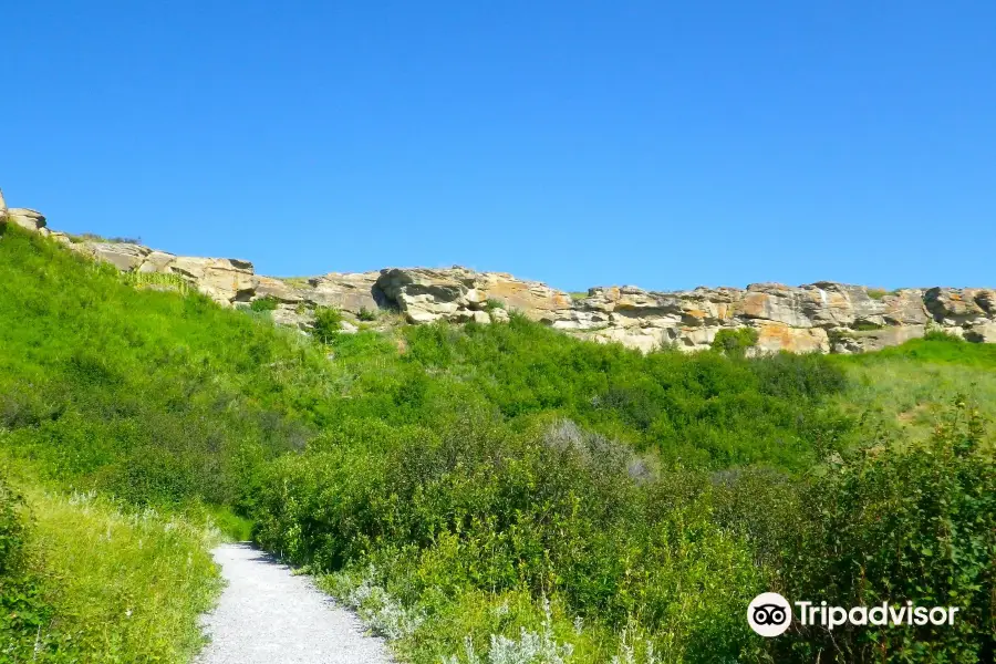 Head-Smashed-In Buffalo Jump World Heritage Site