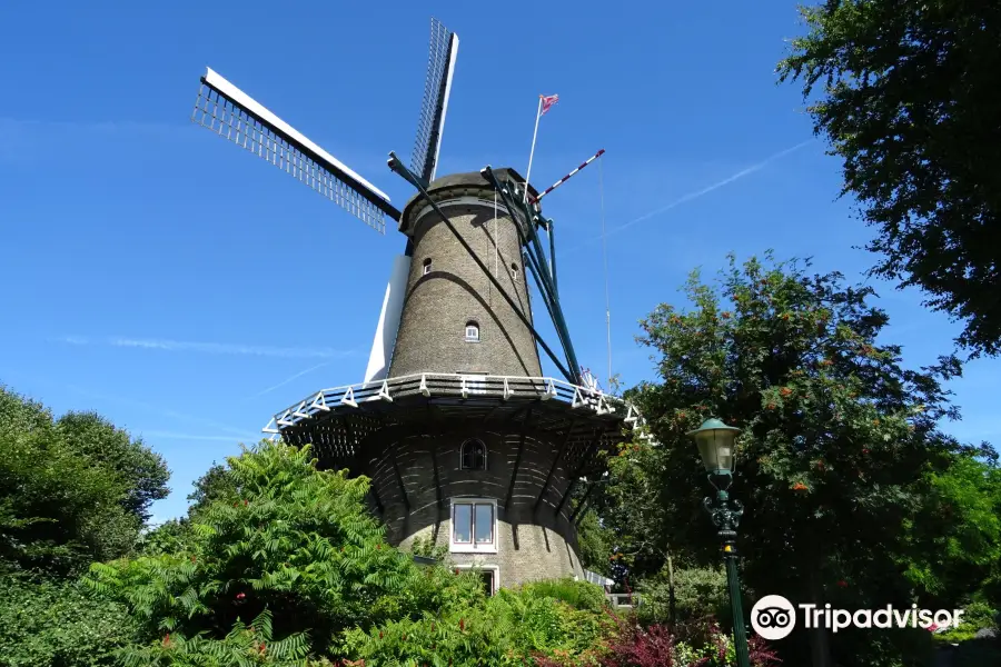 Molen van Groot (Piet)