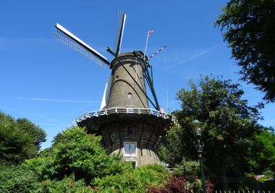 Molen van Groot (Piet)