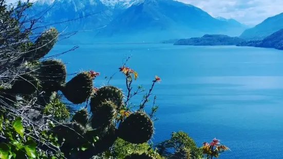 Il Giardino del Merlo