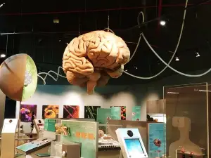 Scitech - Prince Sultan Science and Technology Center