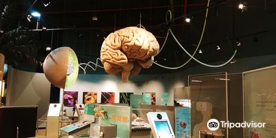Scitech - Prince Sultan Science and Technology Center