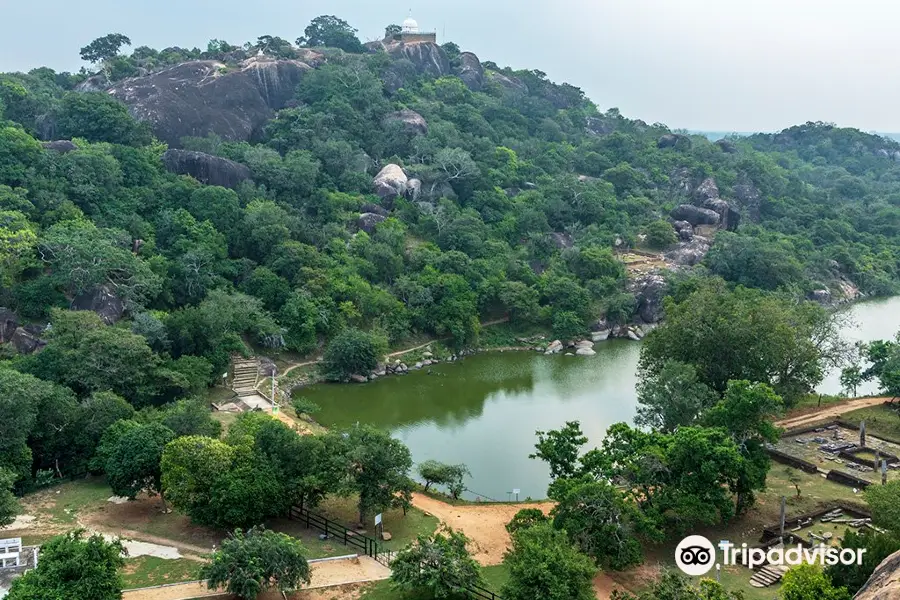 Sithulpawwa Rock Temple