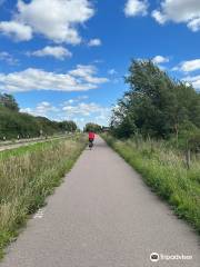 RSPB Fen Drayton Lakes