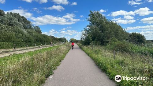 RSPB Fen Drayton Lakes