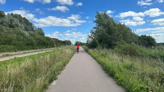 RSPB Fen Drayton Lakes