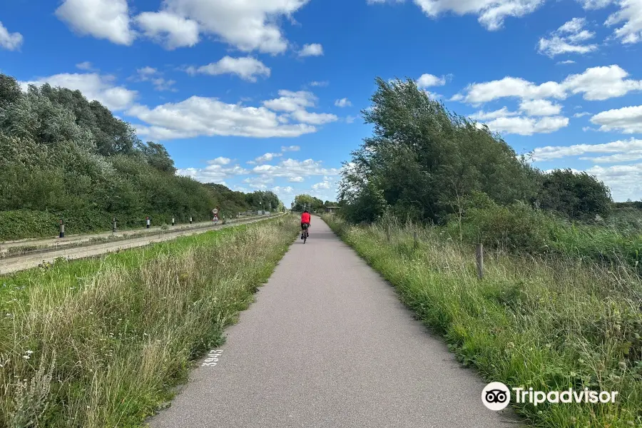 RSPB Fen Drayton Lakes