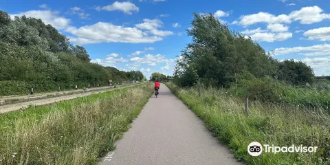 皇家鳥類保育協會咀塘沼湖