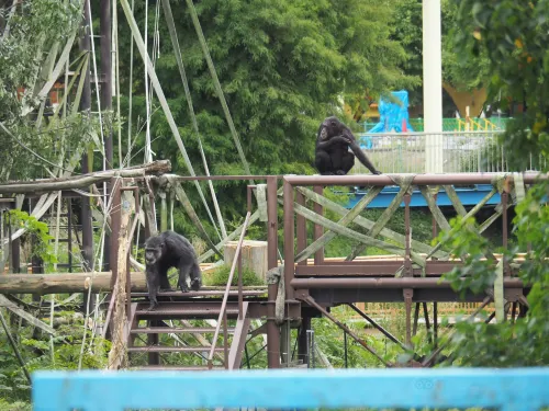 Kumamoto City Zoo and Botanical Garden