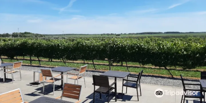 Four Daughters Vineyard & Winery