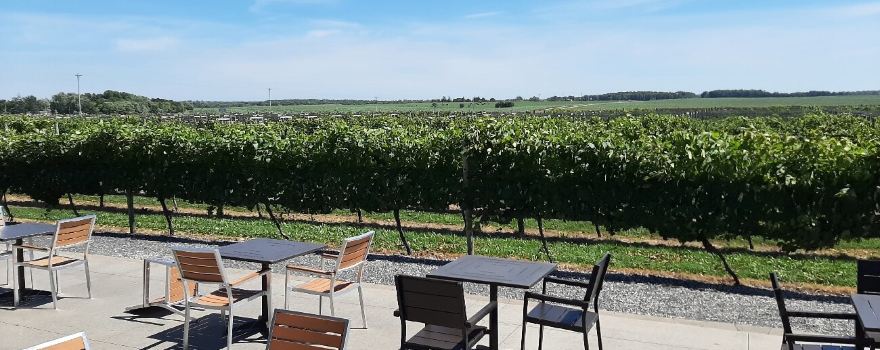 Four Daughters Vineyard & Winery, Loon Juice Hard Cider, and The Traditionalist Bourbon Distillery