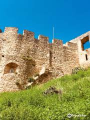 Castelo de Torres Vedras