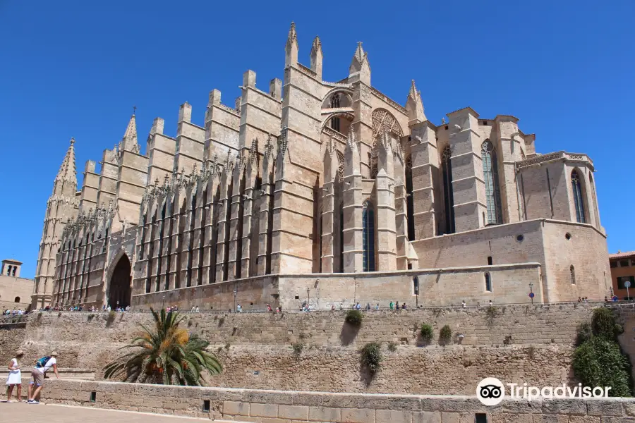 Terrazas de la Catedral de Palma