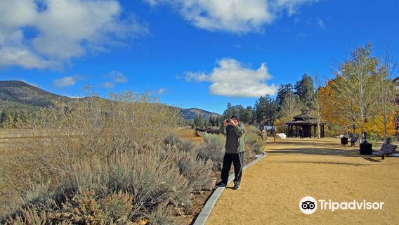 Stanfield Marsh Wildlife and Waterfowl Preserve