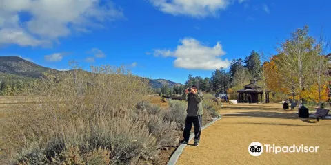 Stanfield Marsh Wildlife and Waterfowl Preserve