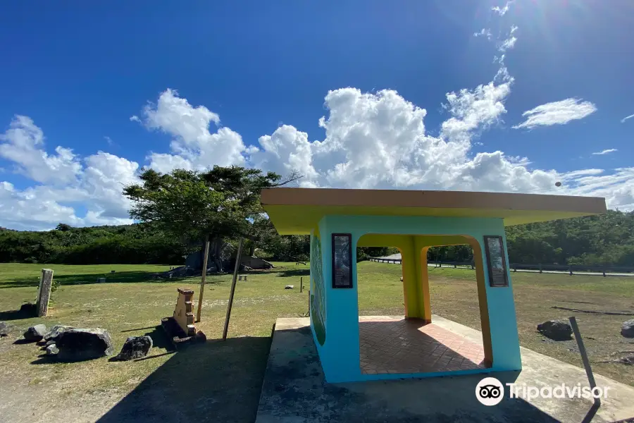 La Gran Ceiba de Vieques