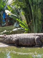 Riverbend Crocodile Farm