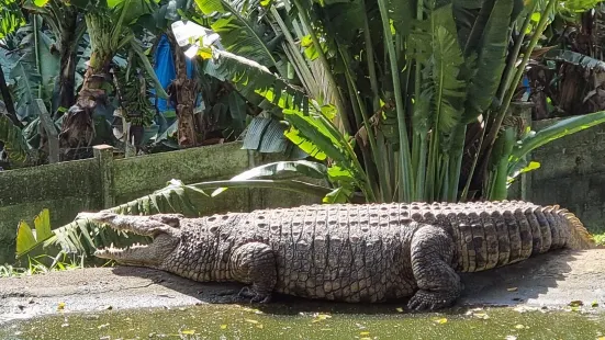 Riverbend Crocodile Farm