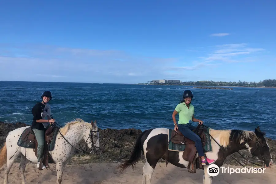 Turtle Bay Resort Horse Riding