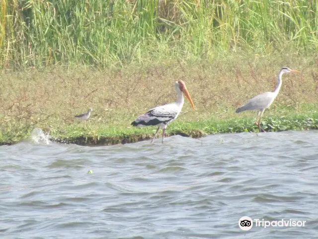 Ameenpur Lake