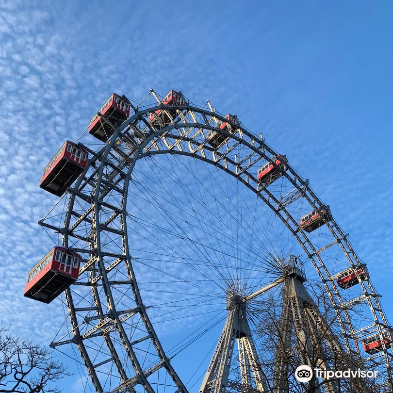 5_Viennese Giant Ferris Wheel