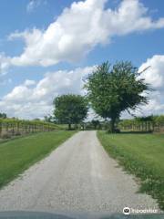 Red Fox Winery & Vineyards