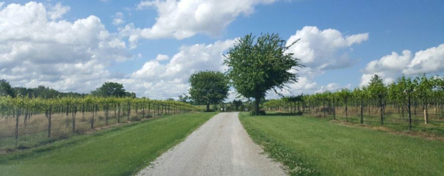Henry County