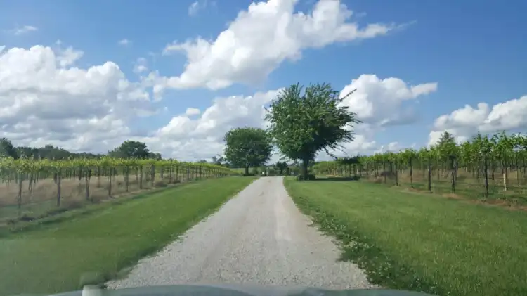 Hotels in Henry County