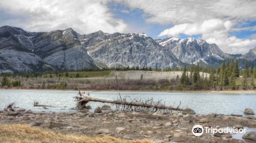 WhiteFish - BowRiver - ElkFlats Loop