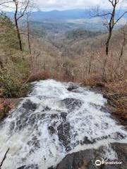 Amicalola Zipline & Aerial Adventure Park