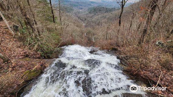 Amicalola Zipline & Aerial Adventure Park