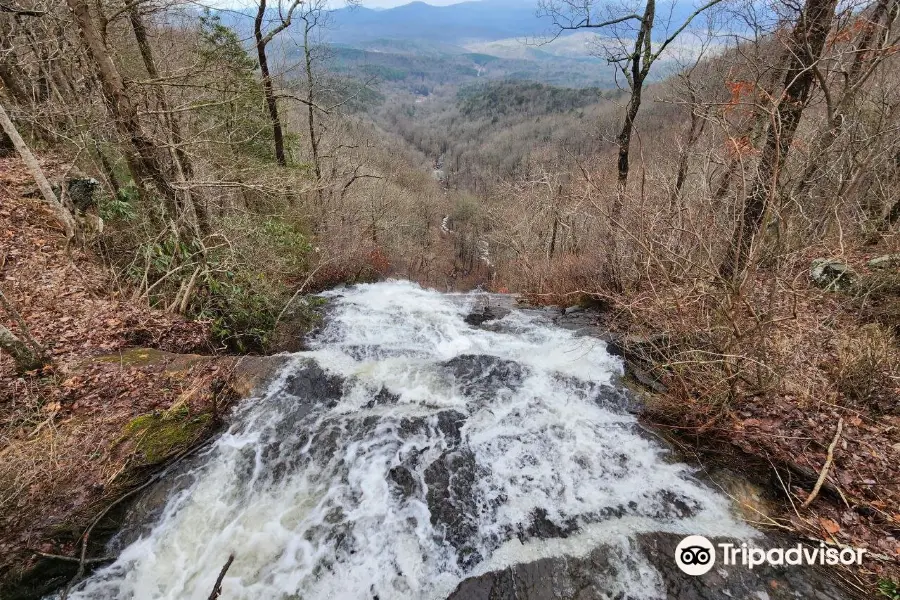 Amicalola Zipline & Aerial Adventure Park