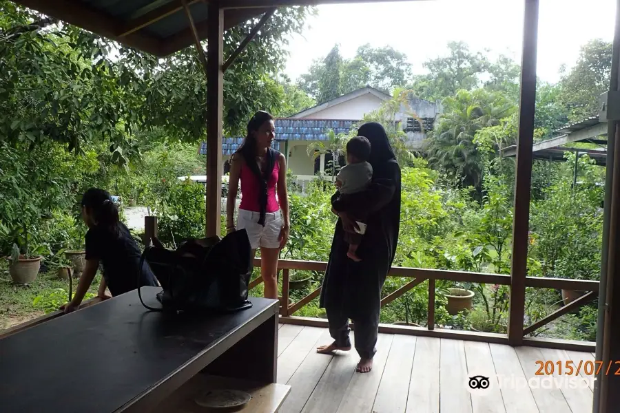 Herbwalk in Langkawi