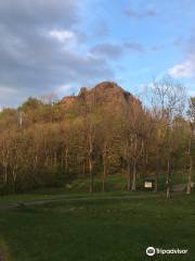 Tollenstein Castle Ruins