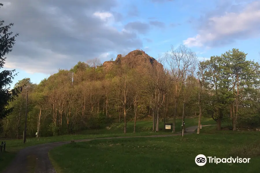 Tollenstein Castle Ruins