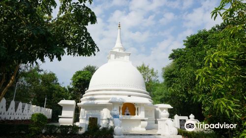 World Peace Pagoda