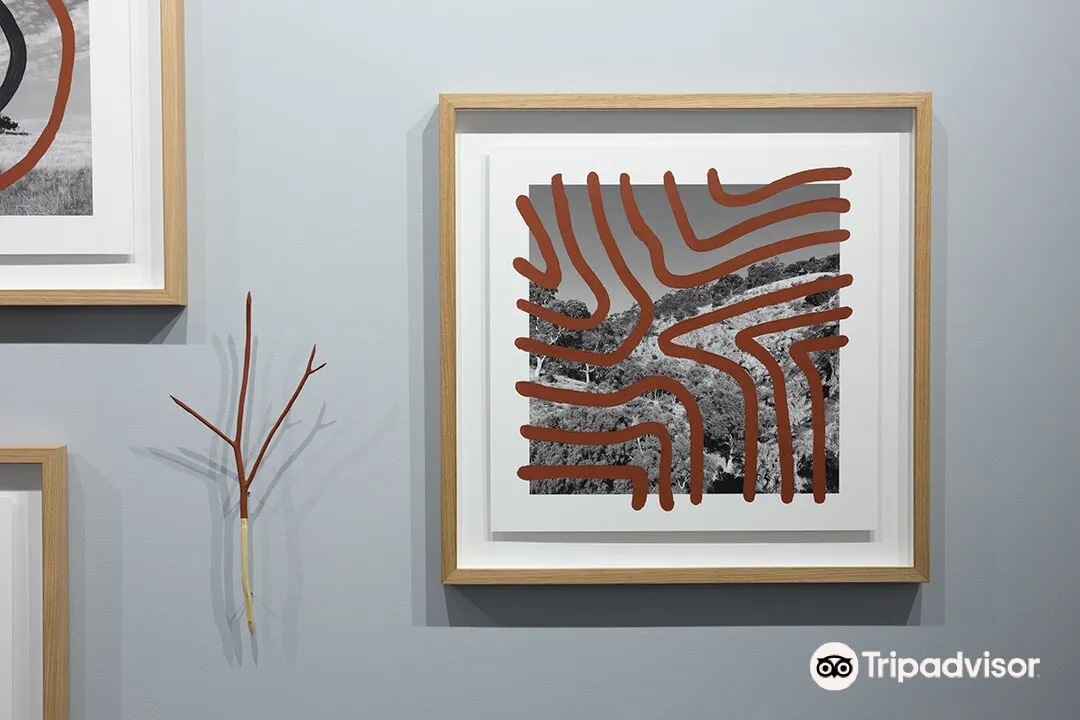 5_澳大利亞攝影中心