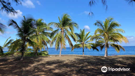 Plage de l'Étang-Salé