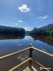 State Park Cantareira Core Cabuçu