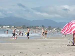 Praia Ponta Do Papagaio