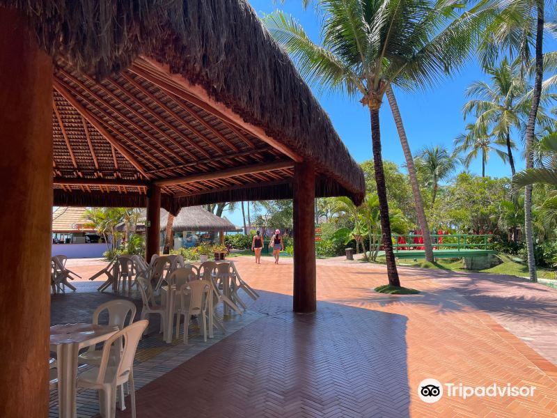 Sucre to Porto Seguro Flights
