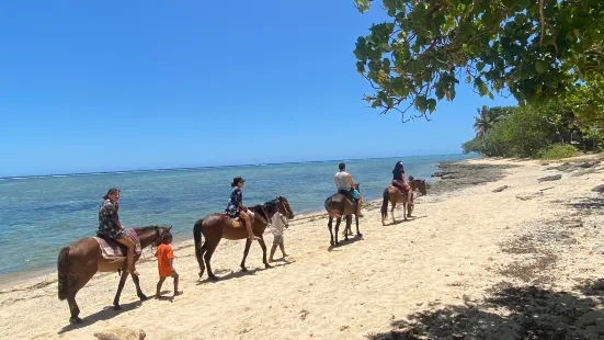 Maui Bay Horse Riding Adventure