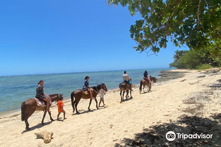 Maui Bay Horse Riding Adventure