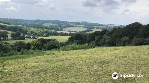 Watlington Hill