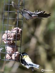 Summer Leys Nature Reserve