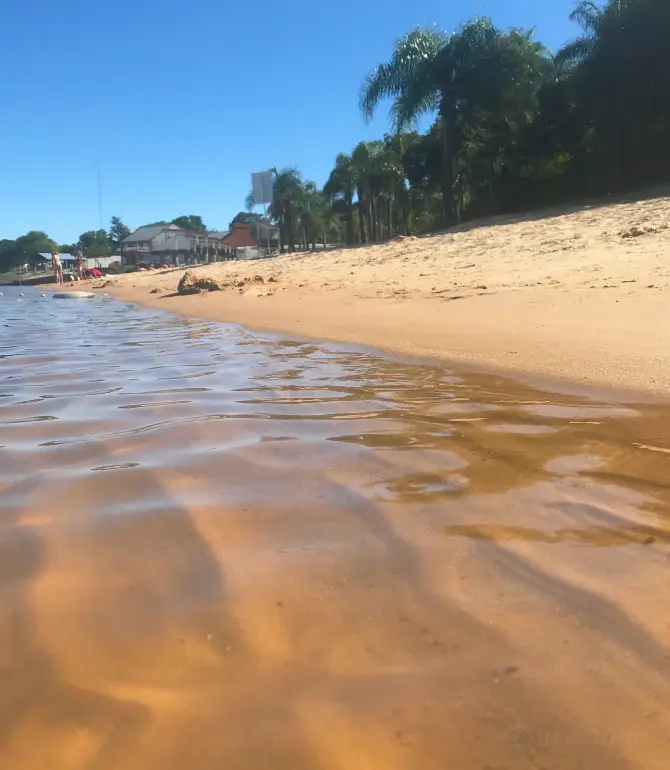 Bella Vista