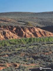 Red Banks Conservation Park