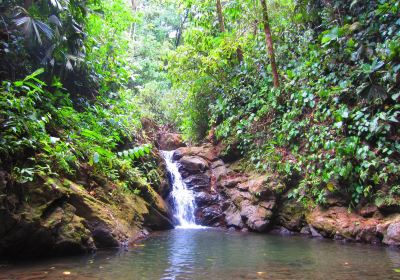 Manuel Antonio