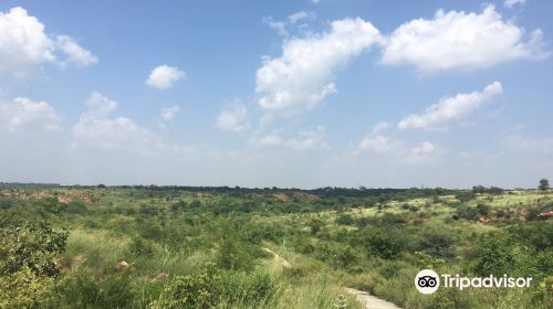 Aravali Biodiversity Park